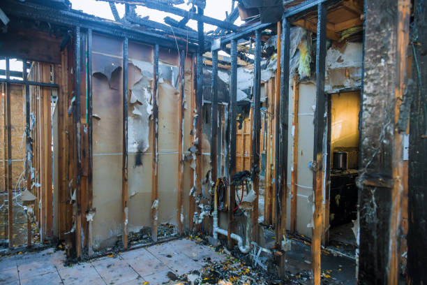 Professional Fire Damage Removal technician working in Dyer, TN